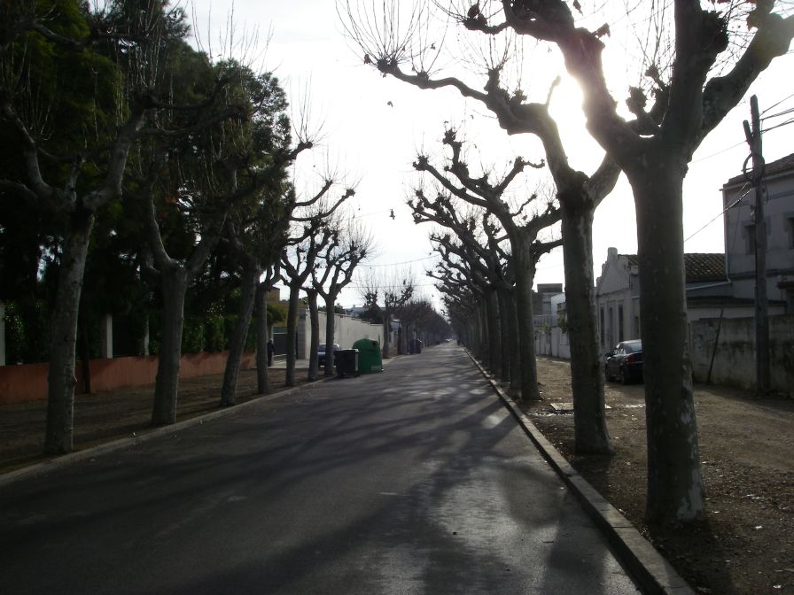 2009-01-01-006-Benicarlo-Avenue