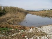 2009-01-01-035-Barranco