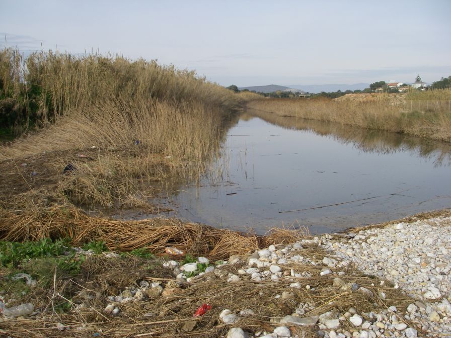 2009-01-01-035-Barranco