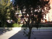 2009-02-14-003-Our-House