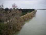2009-02-15-013-Rio-Ebre