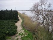 2009-02-15-014-Rio-Ebre