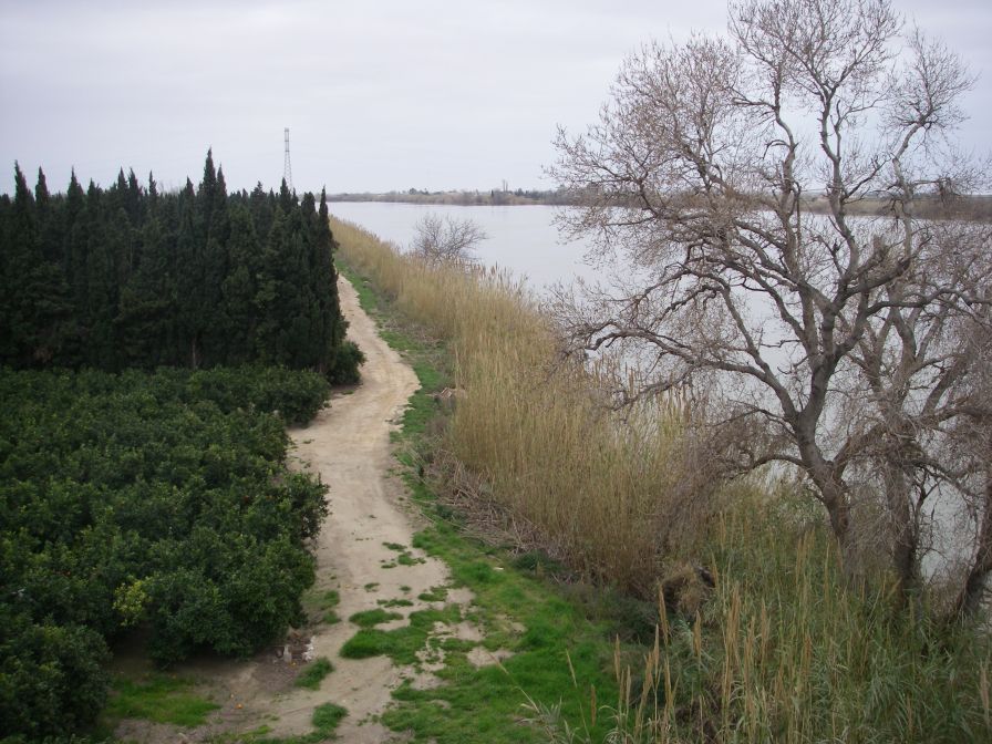 2009-02-15-014-Rio-Ebre
