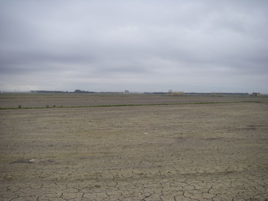 2009-02-16-001-Rice-Paddies