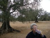 2009-02-16-016-First-tea