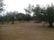 2009-02-16-018-First-tea-place