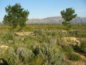 2009-02-17-003-View-of-Hills