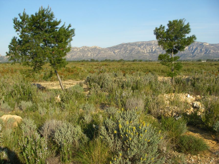 2009-02-17-003-View-of-Hills