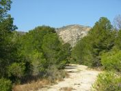 2009-02-17-008-Our-Path