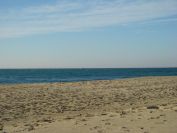 2009-02-18-002-Sea-View