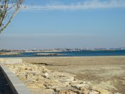 2009-02-18-010-Bird-Island