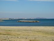 2009-02-18-011-Bird-Island