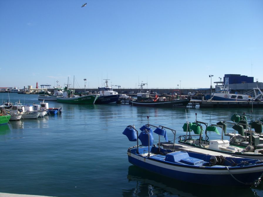 2009-02-18-012-Cambrils-Harbour