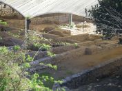2009-02-19-025-Roman-Ruins
