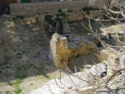 2009-02-19-030-Roman-Ruins