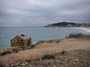 2009-02-20-004-Cape-Vampire