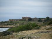 2009-02-20-009-Cape-Vampire