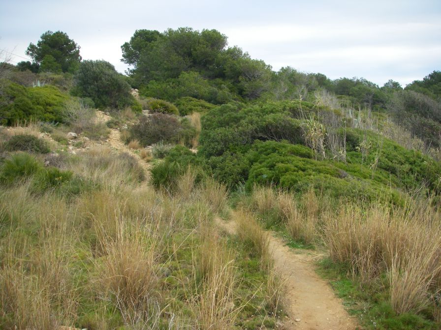 2009-02-20-010-Our-Path