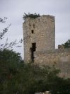 2009-02-20-019-Torre