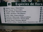 2009-02-20-023-Plant-List