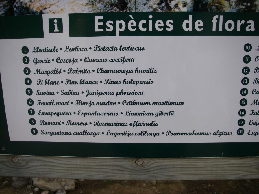 2009-02-20-023-Plant-List