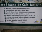 2009-02-20-024-Plant-List