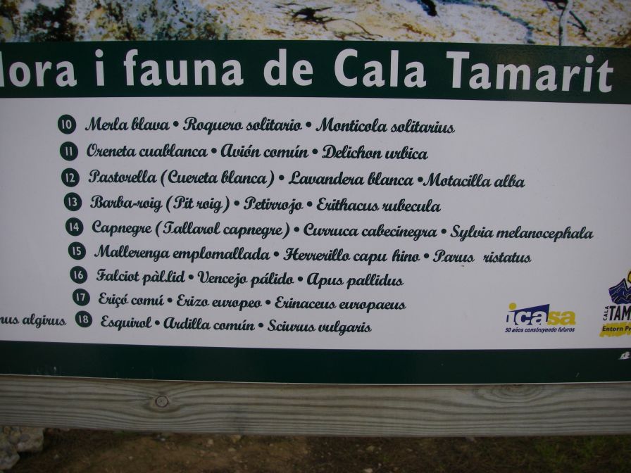 2009-02-20-024-Plant-List