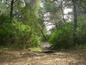 2009-02-20-031-Our-Path