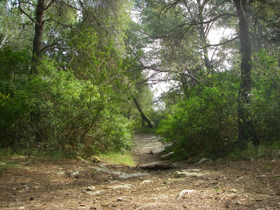2009-02-20-031-Our-Path