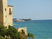 2009-02-20-033-Castle
