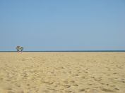 2009-02-20-045-Torredembarra-Beach