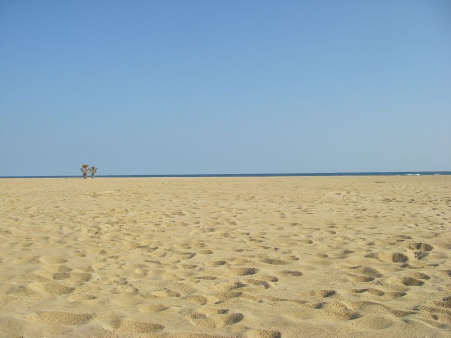 2009-02-20-046-Torredembarra-Beach
