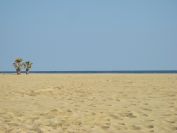 2009-02-20-047-Torredembarra-Beach