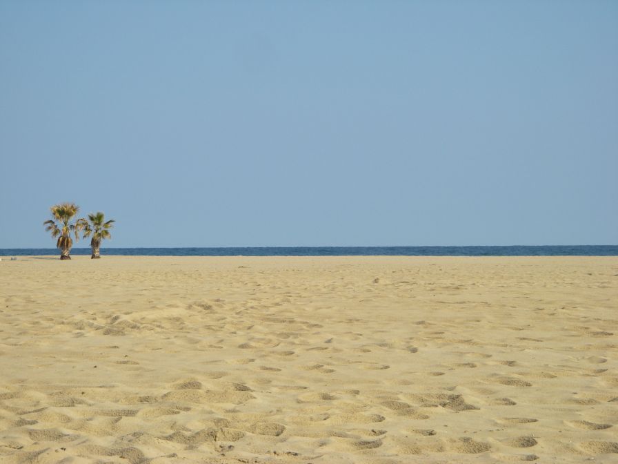 2009-02-20-047-Torredembarra-Beach