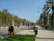 2009-04-04-006-Rambla