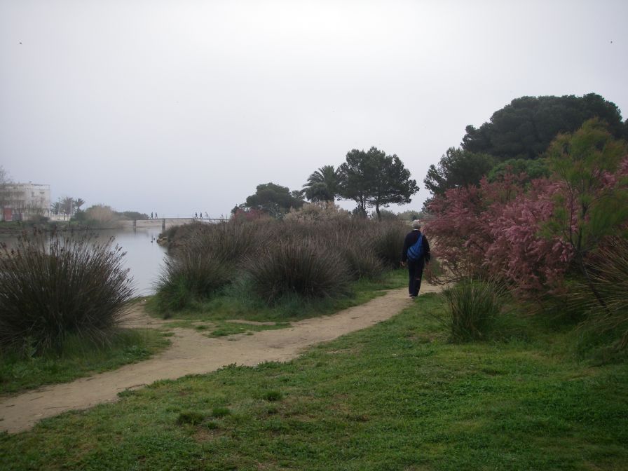 2009-04-05-002-Tamarisk-and-water