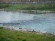 2009-04-09-007-River