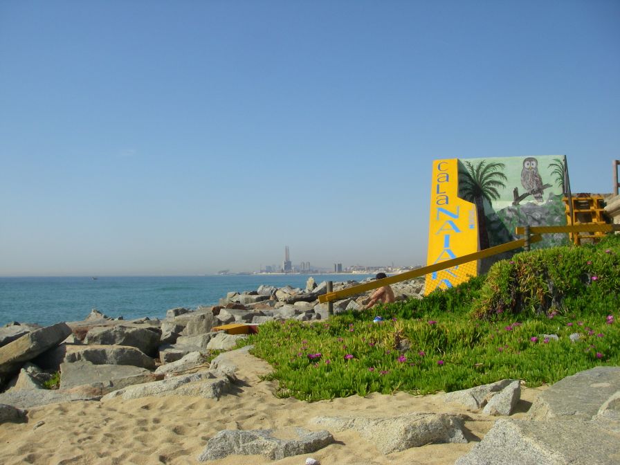 2009-04-09-018-Nudist-Beach