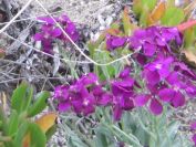 2009-04-10-010-Honesty