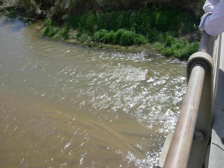 2009-04-11-016-River