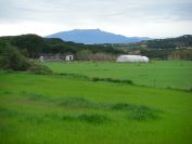 2009-04-12-019-View