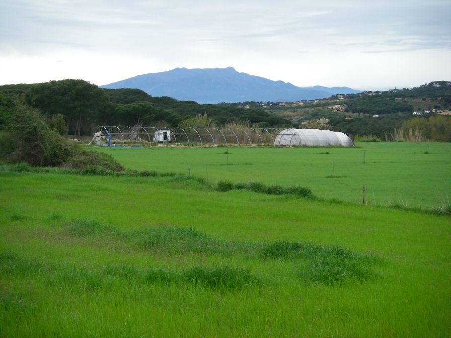 2009-04-12-019-View