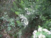 2009-04-12-023-Heather