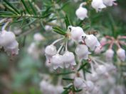 2009-04-12-024-Heather