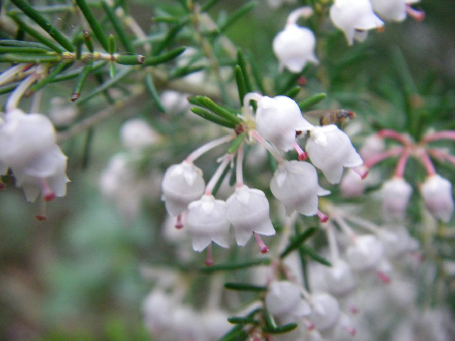 2009-04-12-024-Heather