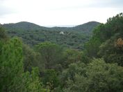 2009-04-12-027-View
