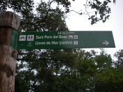 2009-04-12-031-Path-Signpost