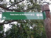 2009-04-12-032-Path-Signpost