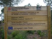 2009-04-12-040-Signs