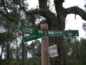 2009-04-12-041-Walk-Signposts